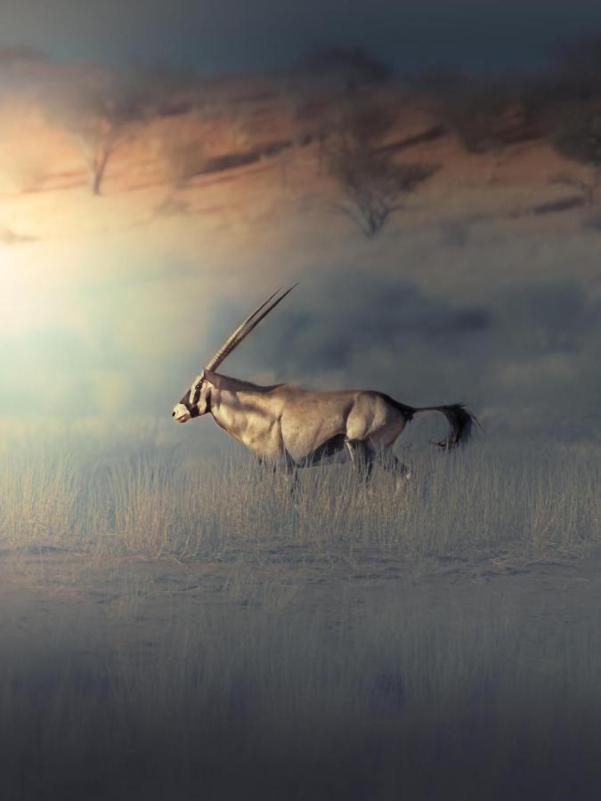 Bagatelle Kalahari Game Ranch Βίλα Hardap Εξωτερικό φωτογραφία