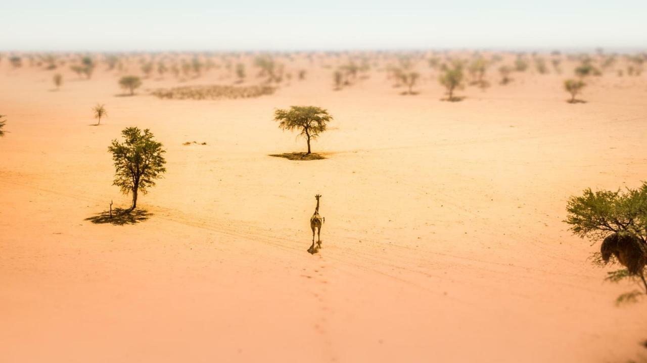 Bagatelle Kalahari Game Ranch Βίλα Hardap Εξωτερικό φωτογραφία