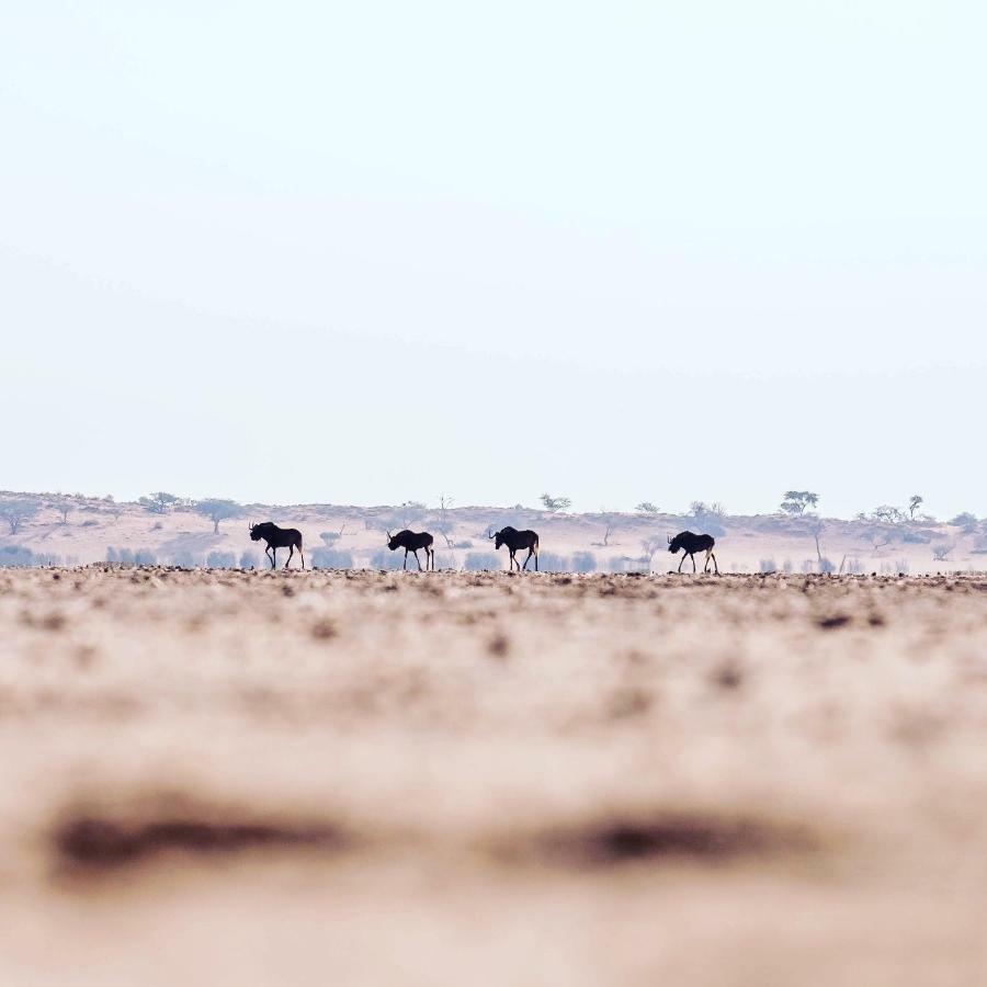 Bagatelle Kalahari Game Ranch Βίλα Hardap Εξωτερικό φωτογραφία