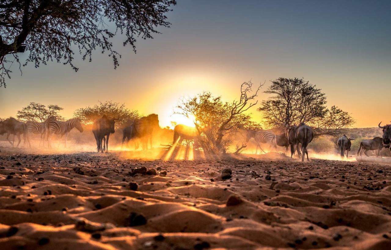 Bagatelle Kalahari Game Ranch Βίλα Hardap Εξωτερικό φωτογραφία