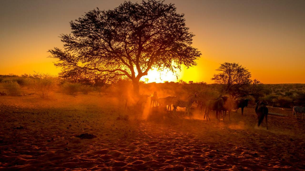 Bagatelle Kalahari Game Ranch Βίλα Hardap Εξωτερικό φωτογραφία