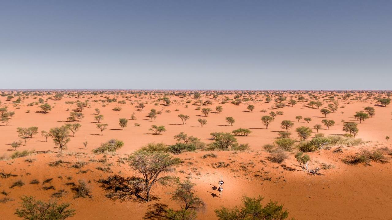 Bagatelle Kalahari Game Ranch Βίλα Hardap Εξωτερικό φωτογραφία