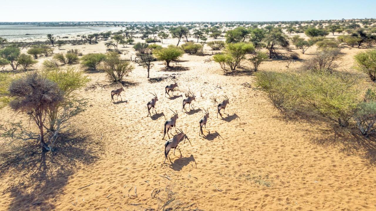 Bagatelle Kalahari Game Ranch Βίλα Hardap Εξωτερικό φωτογραφία